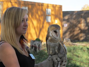 Bonnie Cleaver handling an educational Barn Owl